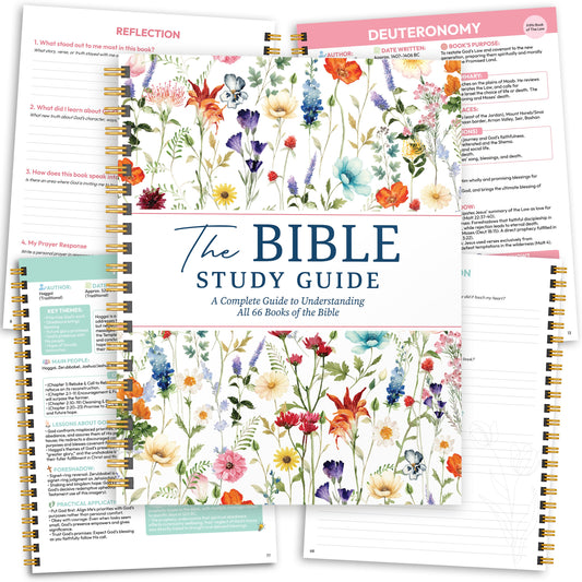 The Bible Study Guide