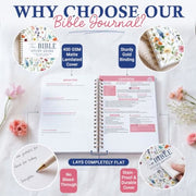 The Bible Study Guide