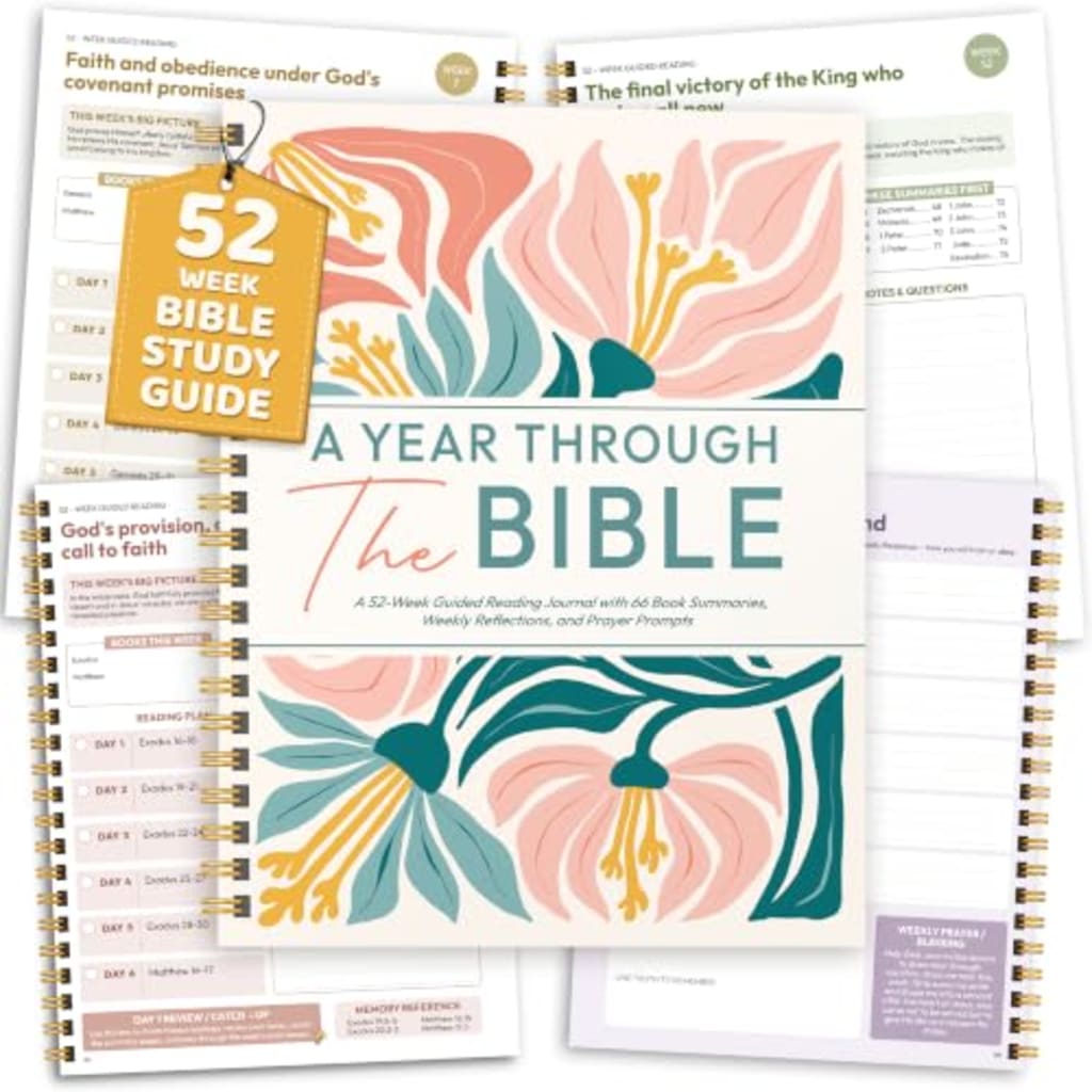The Bible in a Year 52-Week Journal - cover