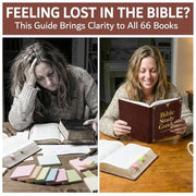 The Bible Study Guide Leather Edition - inside pages