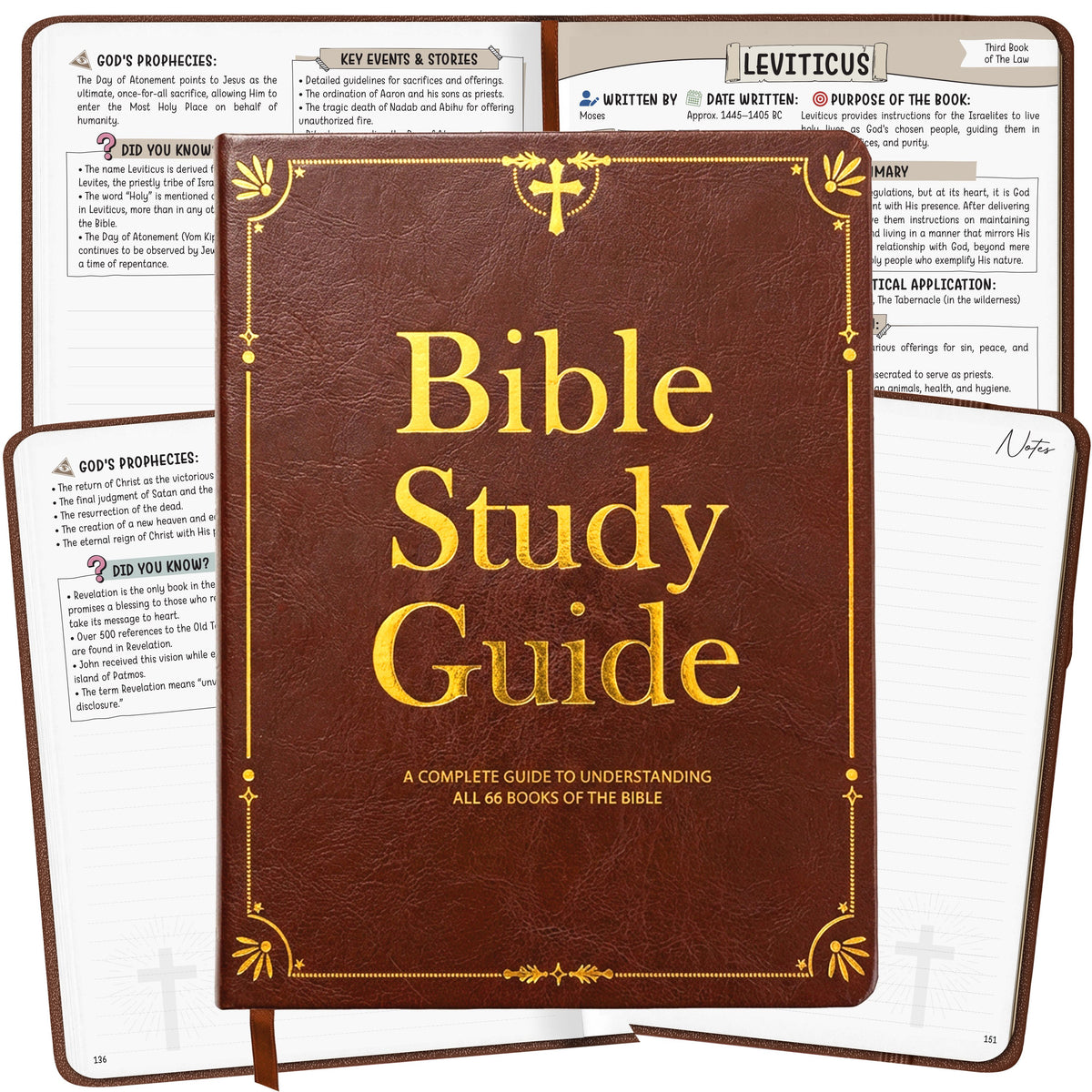 The Bible Study Guide – Leather Edition